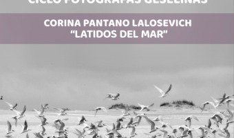 EL MUSEO Y ARCHIVO HISTRICO PRESENTA: CICLO FOTGRAFAS GESELINAS